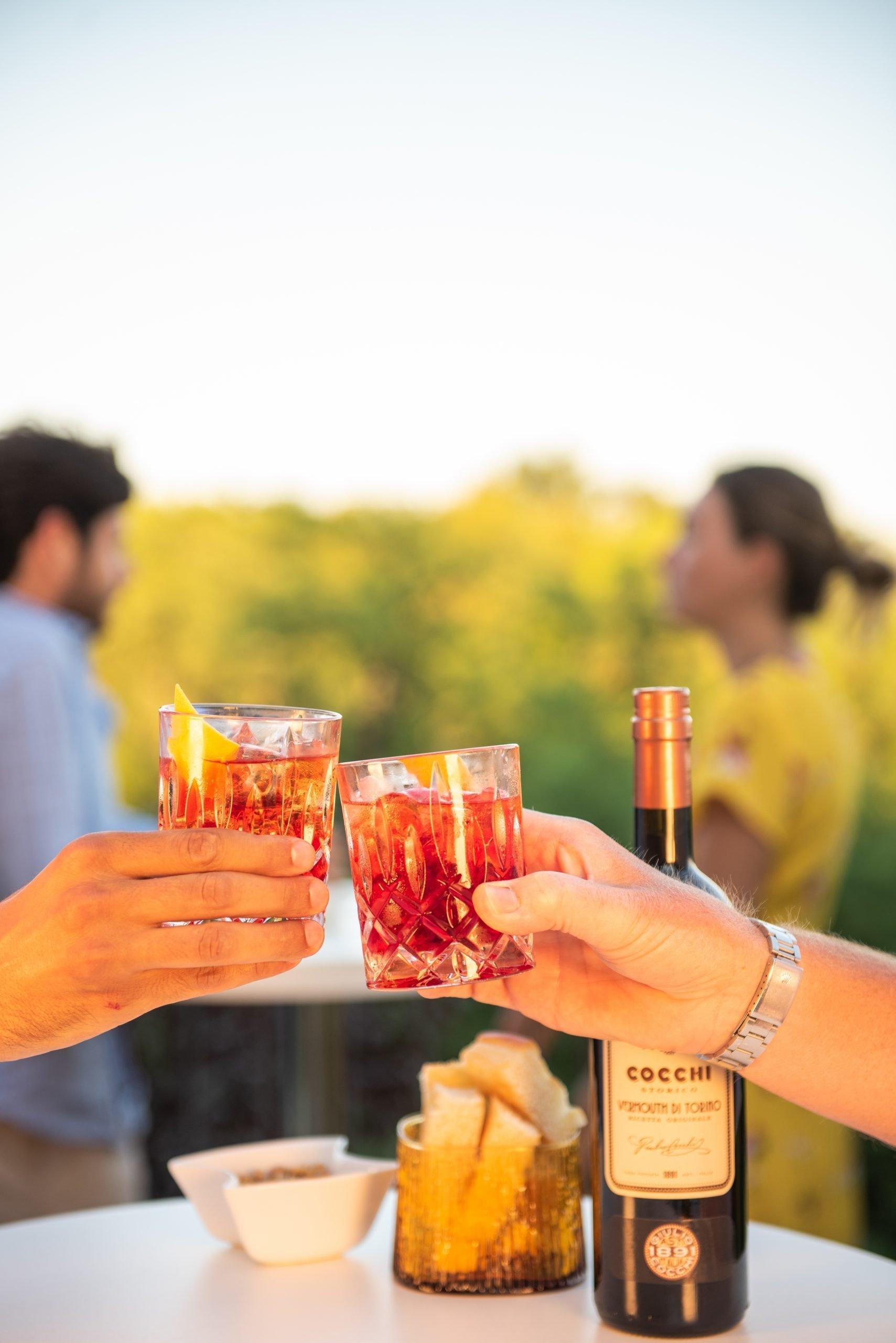 Negroni Drink