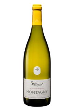 Millebuis Montagny Blanc - Hvidvin