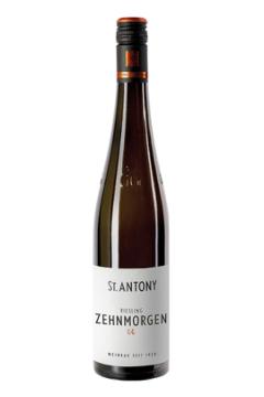 St. Antony Riesling Zehnmorgen GG ØKO