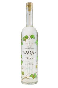 Waqar Pisco - Pisco