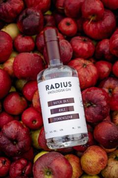 Radius Æble Gin & Tonic-pakke