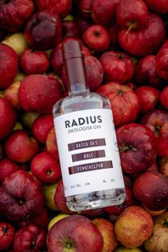 Radius Æble Gin & Tonic-pakke - Smagekasse