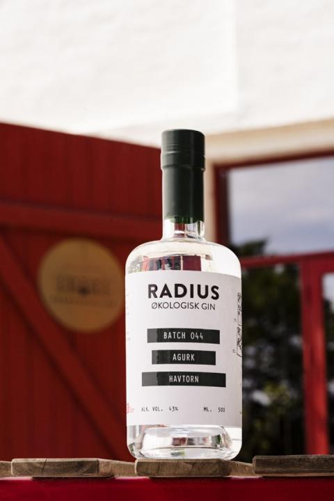 Radius Agurke Gin & Tonic-pakke - Smagekasse Radius Agurke Gin & Tonic-pakke - Smagekasse