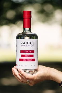 Radius Mynte/Grape Gin & Tonic-pakke - Smagekasse
