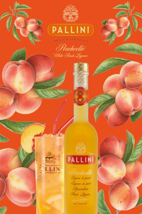 Pallini Bellini - Pakke - Cocktailpakke Pallini Bellini - Pakke - Cocktailpakke