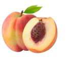 Stenfrugt